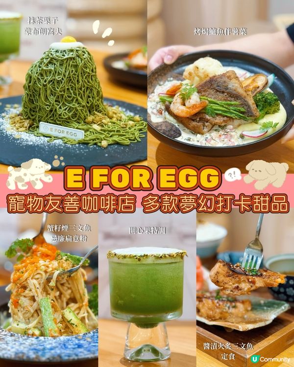 西環寵物友善咖啡店😋 多款打卡精美甜品！