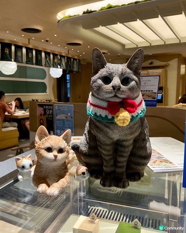 軟殼蟹塔可必食！🦀 銅鑼灣和洋料理推介！😋