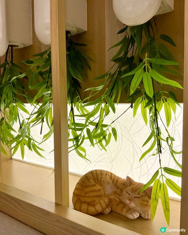 軟殼蟹塔可必食！🦀 銅鑼灣和洋料理推介！😋