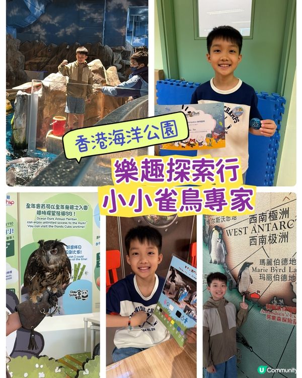 【 化身小小雀鳥專家 過一個精彩難忘暑假 】