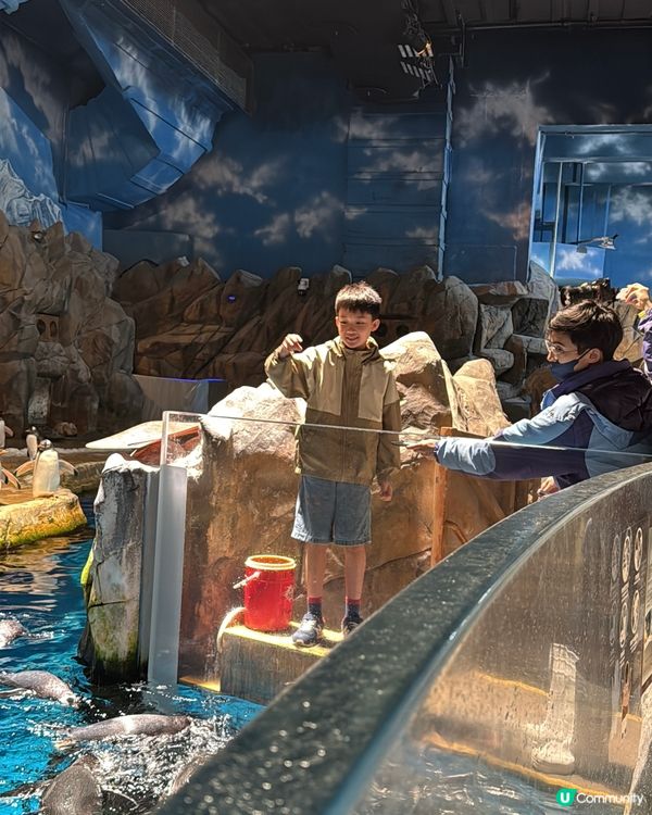 【 化身小小雀鳥專家 過一個精彩難忘暑假 】