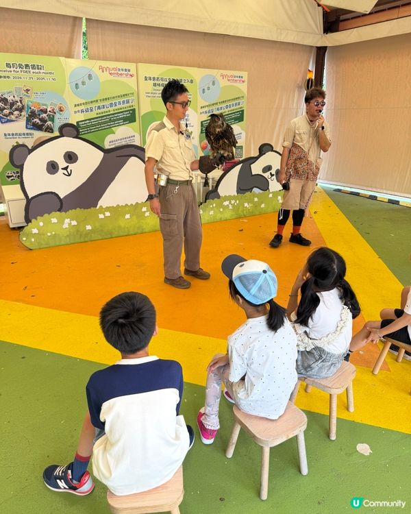 【 化身小小雀鳥專家 過一個精彩難忘暑假 】