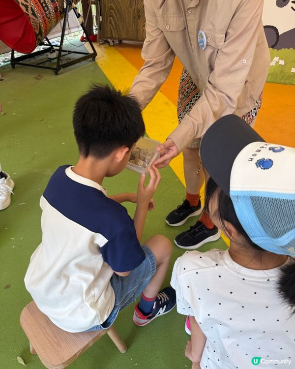 【 化身小小雀鳥專家 過一個精彩難忘暑假 】