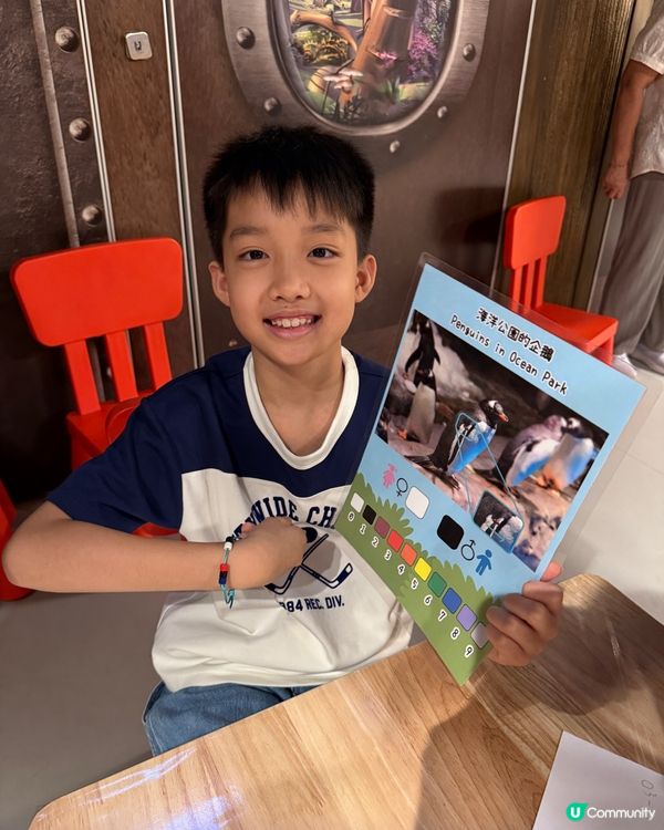 【 化身小小雀鳥專家 過一個精彩難忘暑假 】