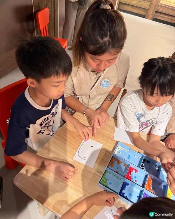 【 化身小小雀鳥專家 過一個精彩難忘暑假 】