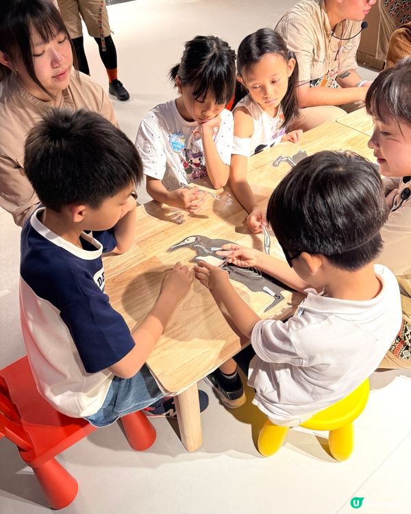 【 化身小小雀鳥專家 過一個精彩難忘暑假 】