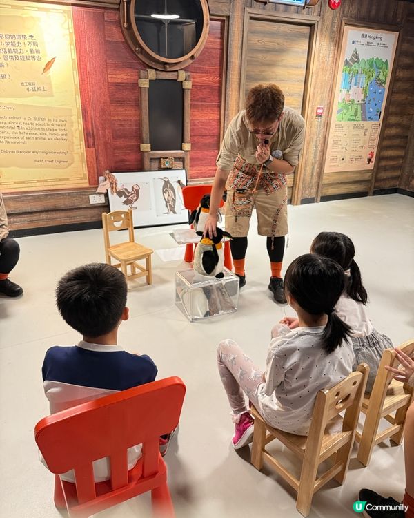 【 化身小小雀鳥專家 過一個精彩難忘暑假 】