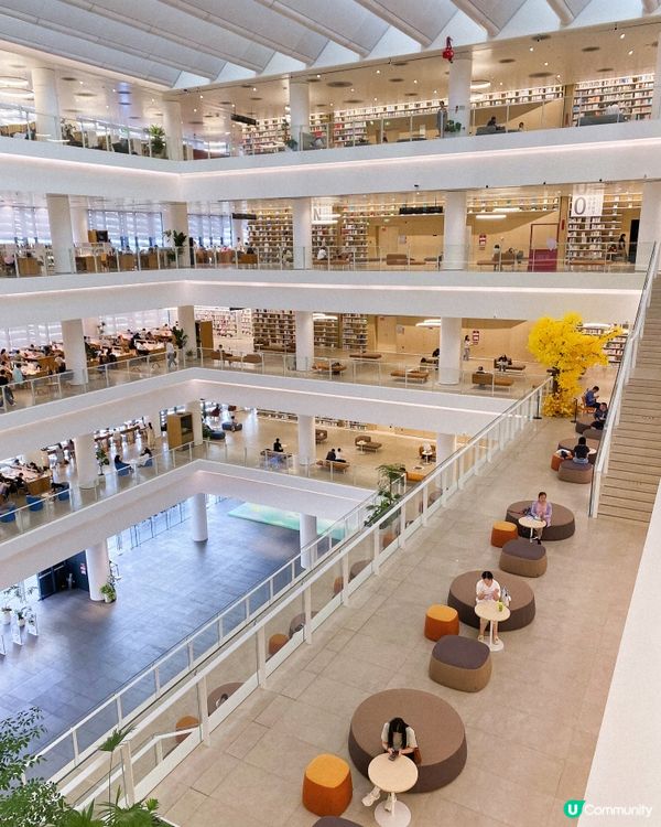 圖書館的建築美✨📚