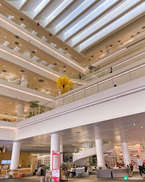 圖書館的建築美✨📚