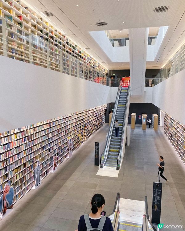 圖書館的建築美✨📚