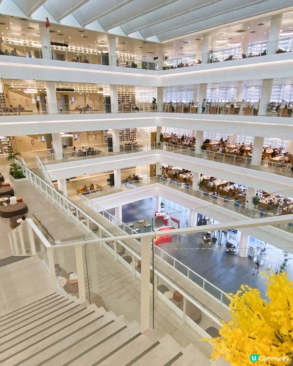 圖書館的建築美✨📚