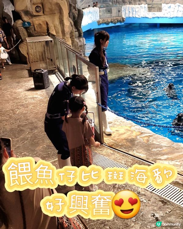海洋公園夏日歷險記！威威小村民🤩 報名啦！