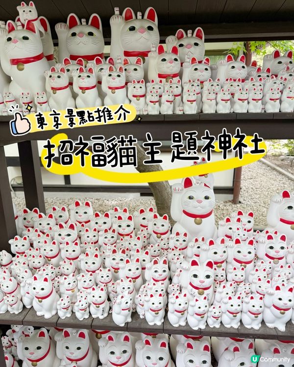 ［東京免費景點］豪德寺招福貓朝聖之旅！治癒心靈！
