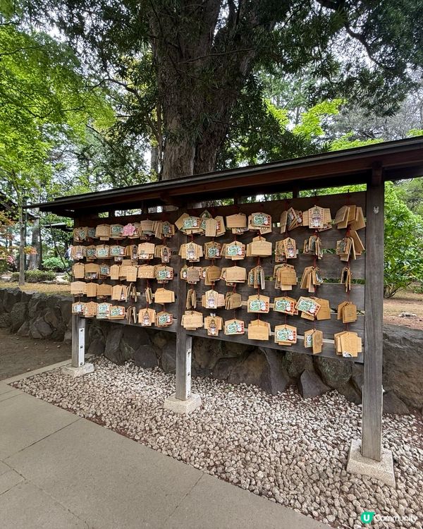 ［東京免費景點］豪德寺招福貓朝聖之旅！治癒心靈！