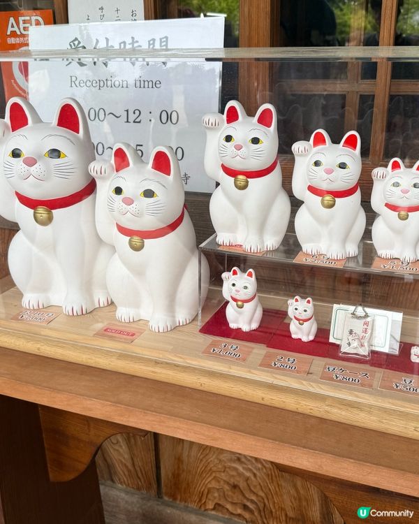 ［東京免費景點］豪德寺招福貓朝聖之旅！治癒心靈！