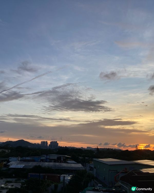 字體文化的發展在香港