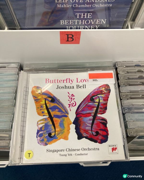 字體文化的發展在香港