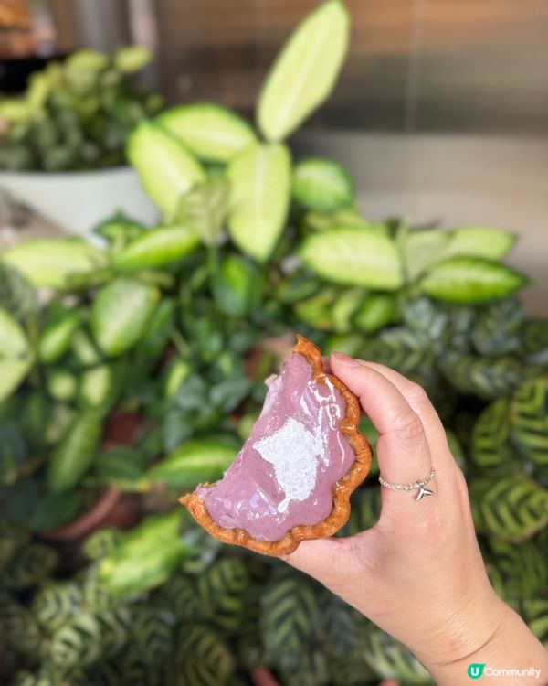 Rosewood 期間限定北海道芋頭撻💜