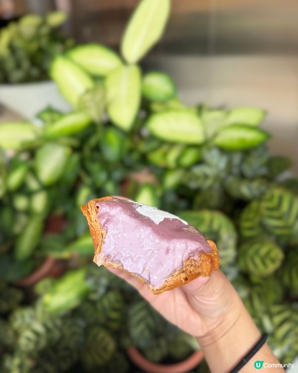 Rosewood 期間限定北海道芋頭撻💜