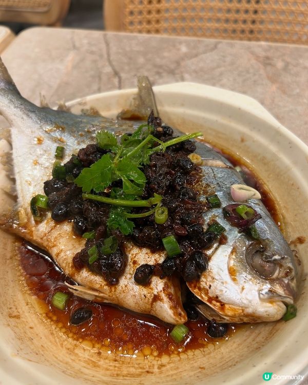 葵芳美食推介！正宗台灣味🤤 蒸魚必試！😋