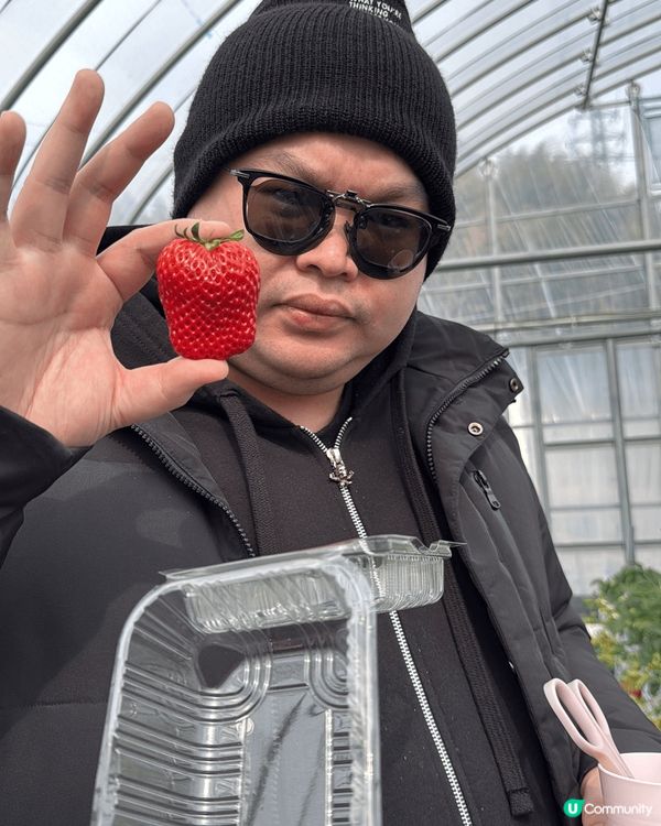 呢兩張相係我同我老公去福岡嘅時候影，記錄咗我哋去咗士多啤梨園...