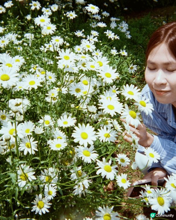 濟州真係靚到唔捨得眨眼!有壯觀火山､夢幻海岸線,仲有韓劇同綜...