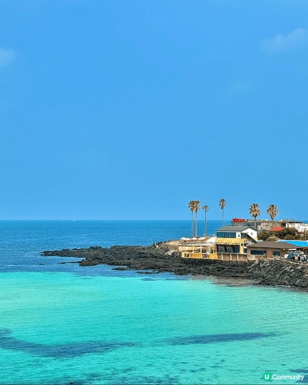 在濟州島3天感受到冬日的狂風和春日的暖陽.