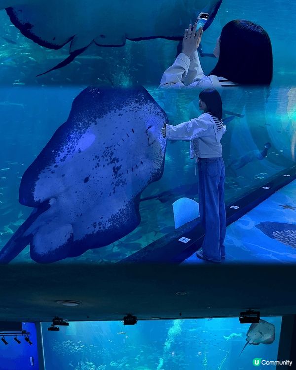 在濟州島3天感受到冬日的狂風和春日的暖陽.