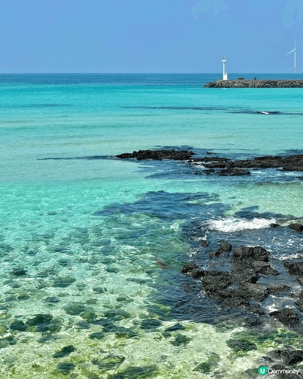 在濟州島3天感受到冬日的狂風和春日的暖陽.