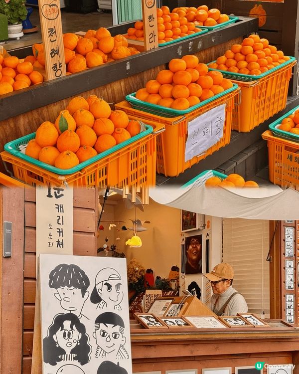 在濟州島3天感受到冬日的狂風和春日的暖陽.