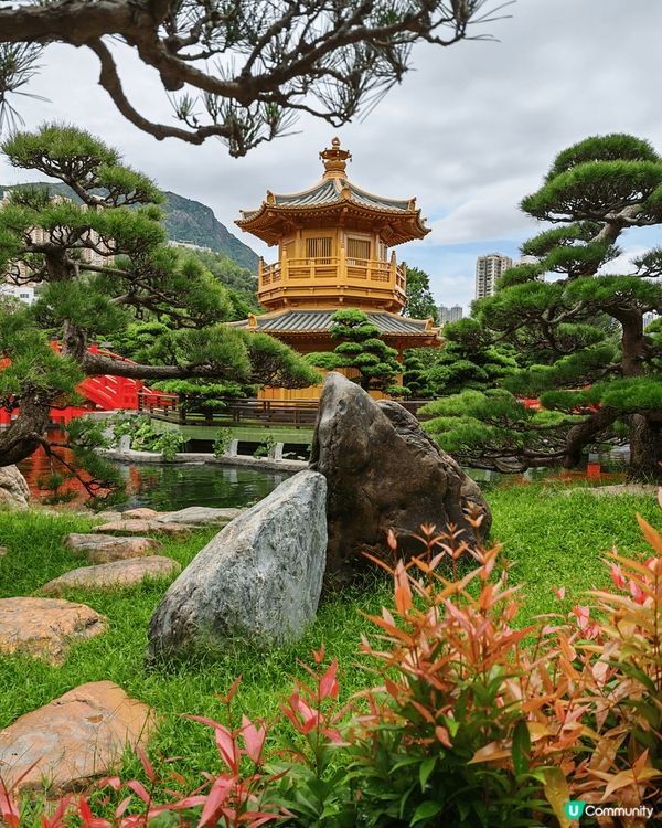 志蓮淨苑是個九龍區的好去處，平日去環境清幽，裡面有不同的植物...