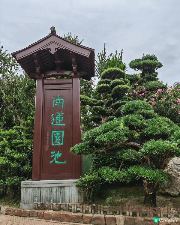 志蓮淨苑是個九龍區的好去處，平日去環境清幽，裡面有不同的植物...