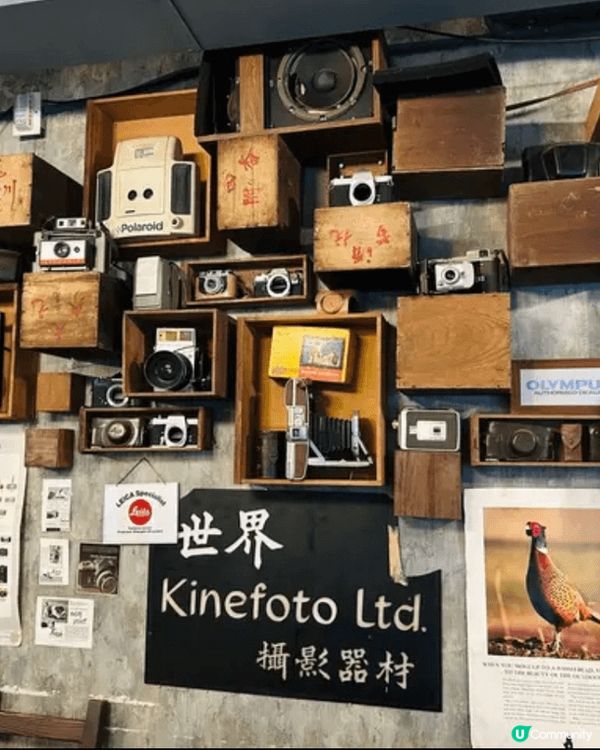 想打卡又想食好嘢，位於灣仔嘅1963木十豆寸就啱曬，餐廳裝修...