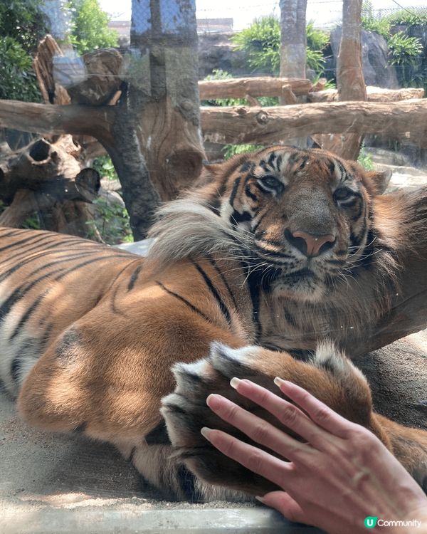 🇯🇵 神京阪 Day 1 2/7/2023