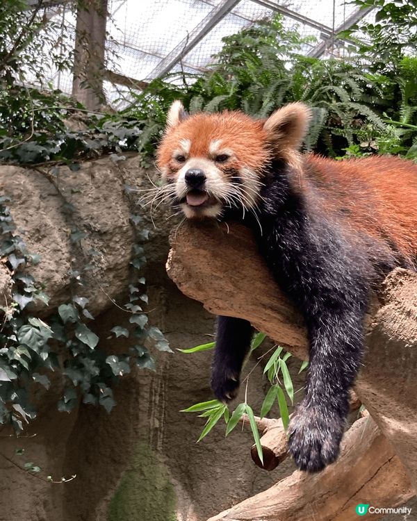 🇯🇵 神京阪 Day 1 2/7/2023