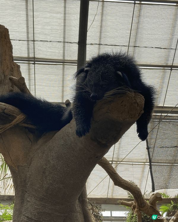 🇯🇵 神京阪 Day 1 2/7/2023