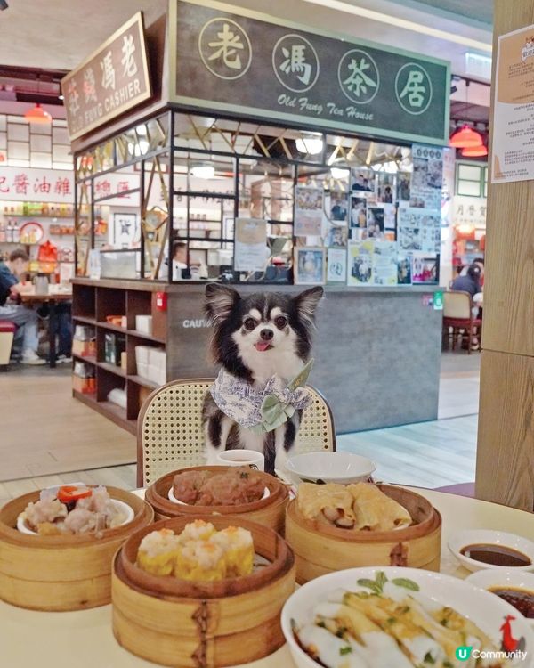 假期陪去旺角mama 飲茶🫖