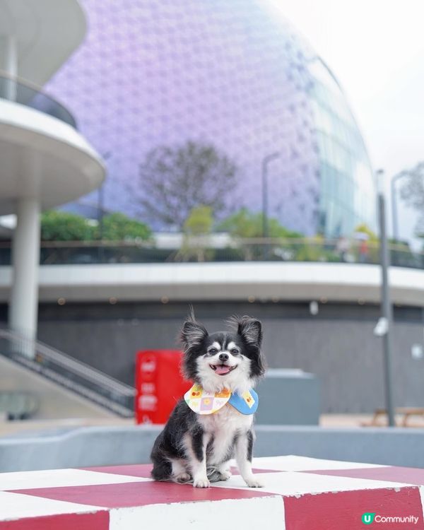啟德新開嘅海濱花園真係好靚💕