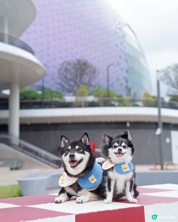 啟德新開嘅海濱花園真係好靚💕