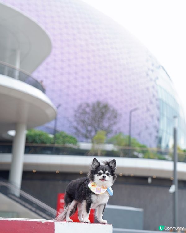 啟德新開嘅海濱花園真係好靚💕