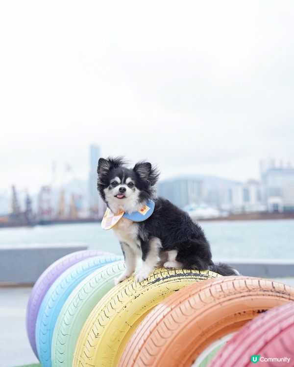 啟德新開嘅海濱花園真係好靚💕