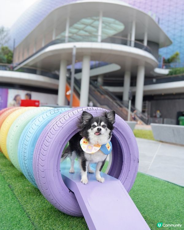 啟德新開嘅海濱花園真係好靚💕