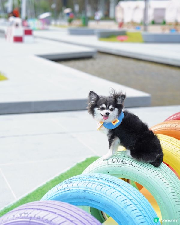 啟德新開嘅海濱花園真係好靚💕