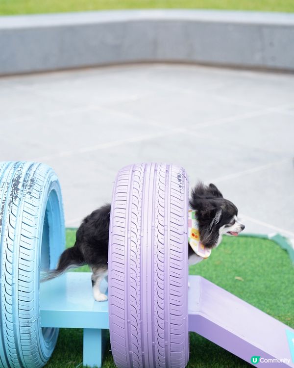 啟德新開嘅海濱花園真係好靚💕