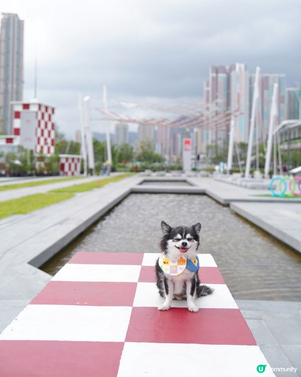 啟德新開嘅海濱花園真係好靚💕