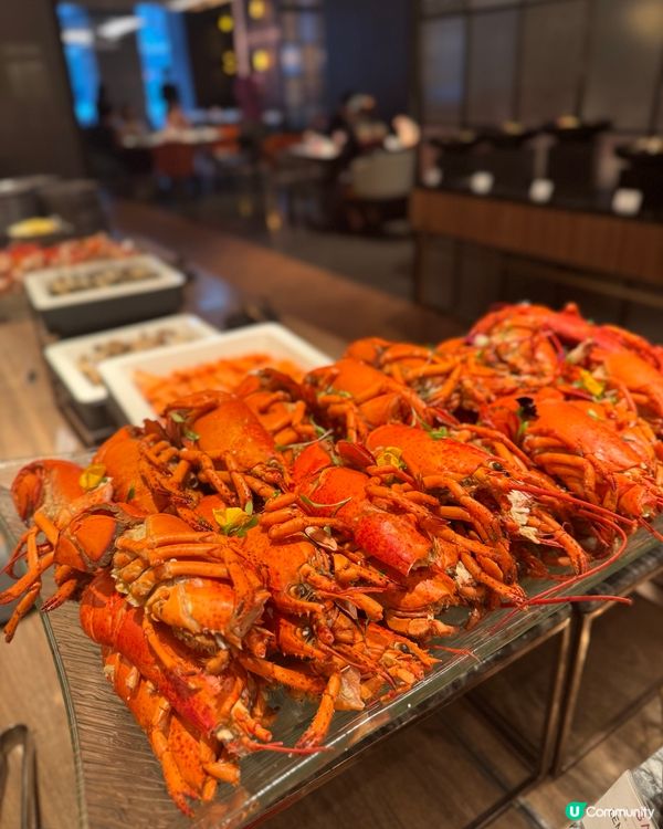 尖沙咀自助餐🤤！龍蝦長腳蟹鮑魚任食！😚😍