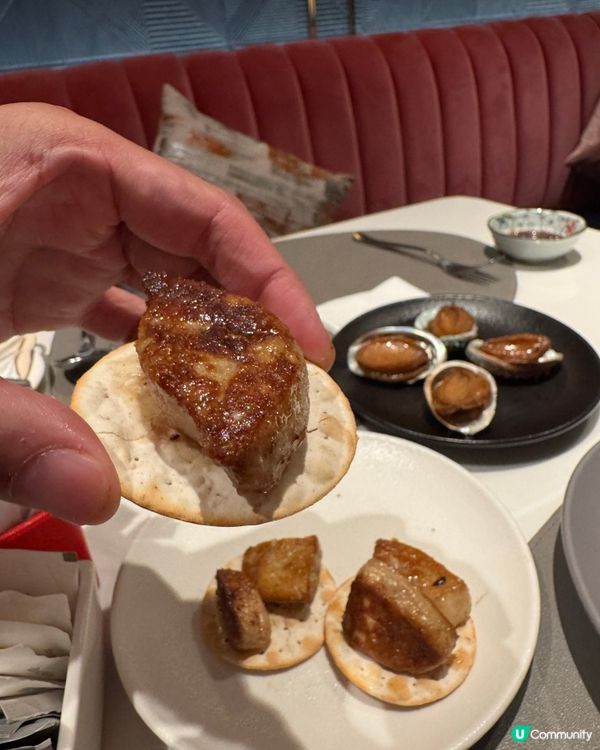 尖沙咀自助餐🤤！龍蝦長腳蟹鮑魚任食！😚😍