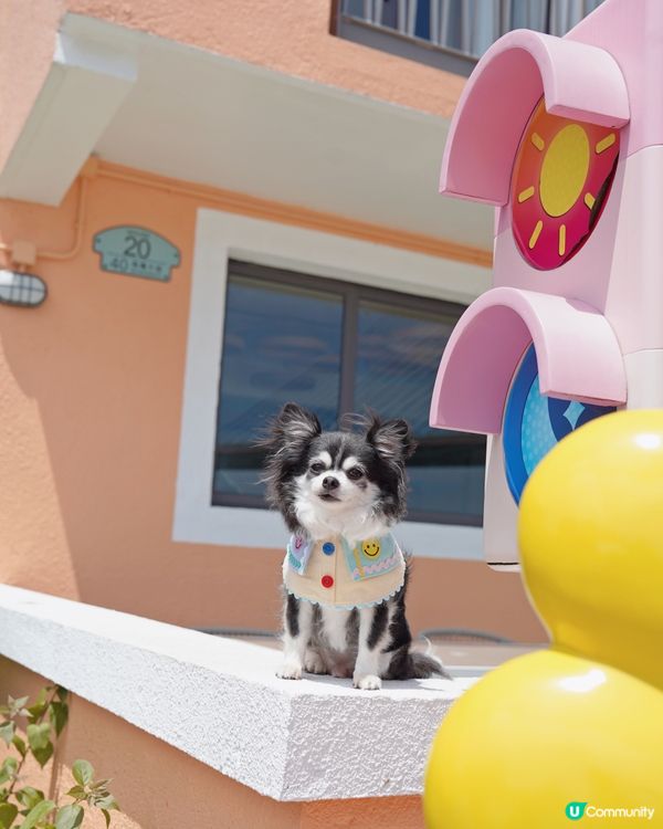 馬灣全新打卡點1868一日遊🌿