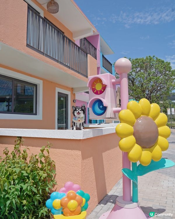 馬灣全新打卡點1868一日遊🌿