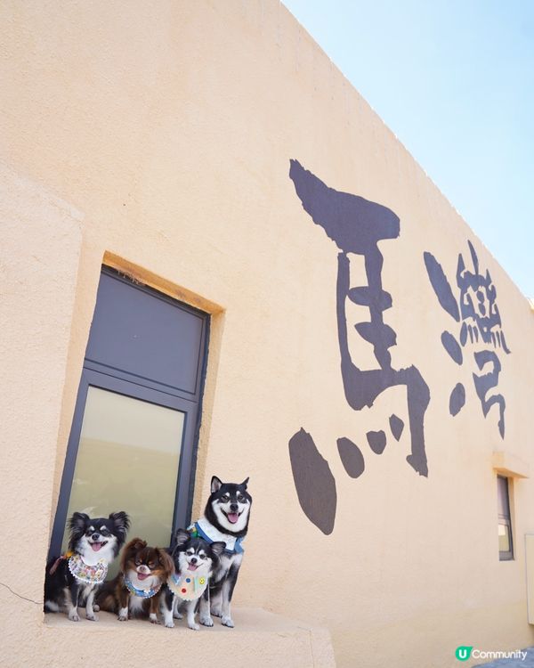 馬灣全新打卡點1868一日遊🌿